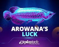 Arowana`s Luck